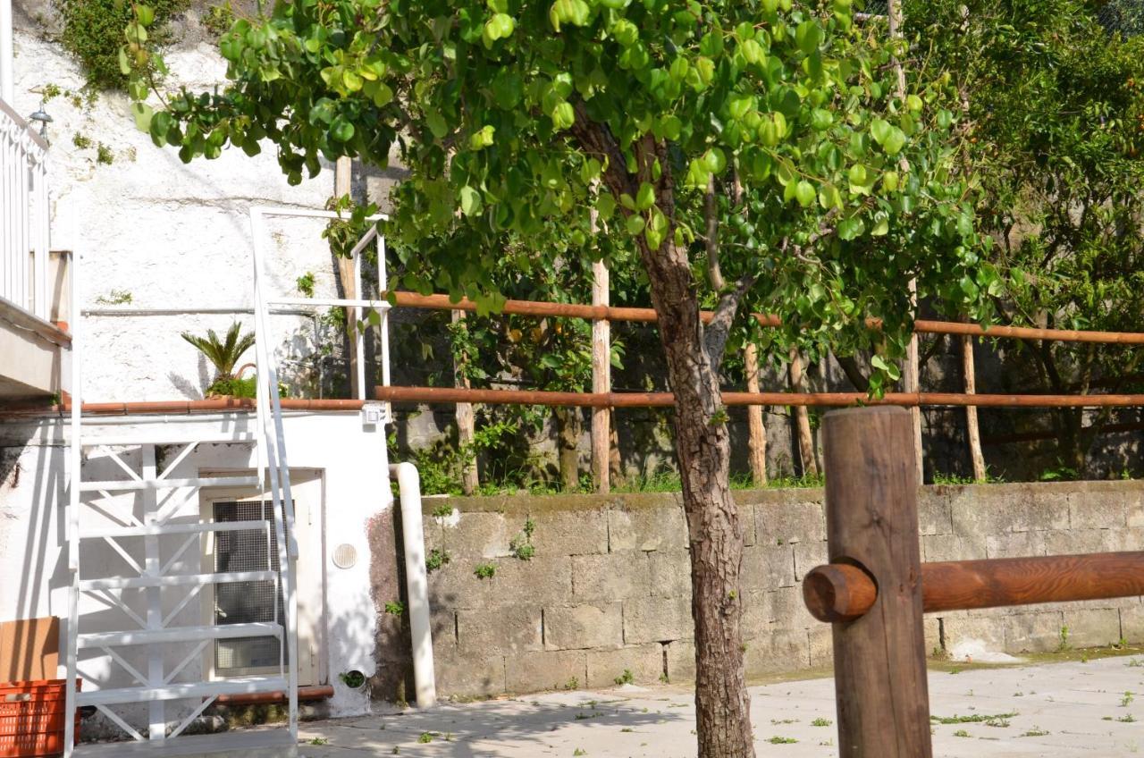 Villa Luciana サンタニェッロ エクステリア 写真