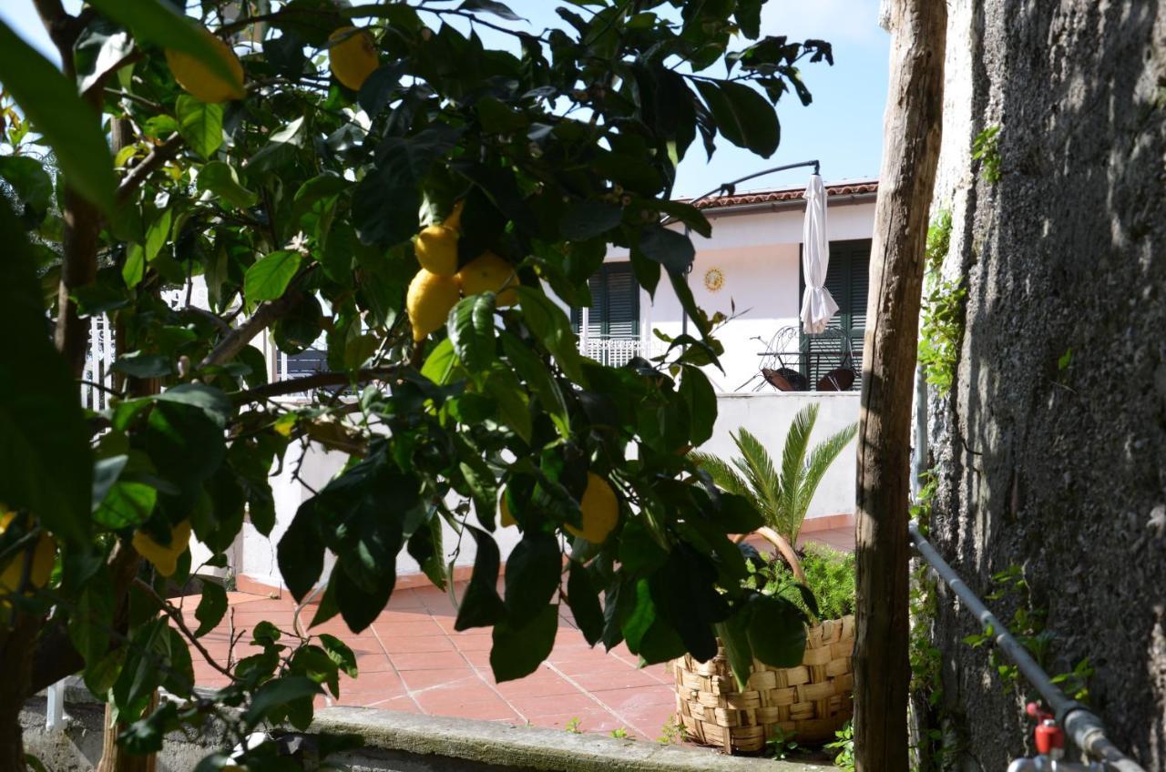 Villa Luciana サンタニェッロ エクステリア 写真
